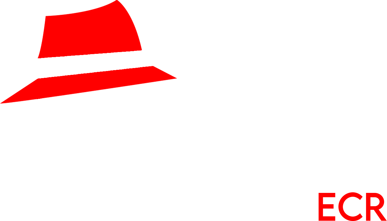 The Detailing Mafia ECR